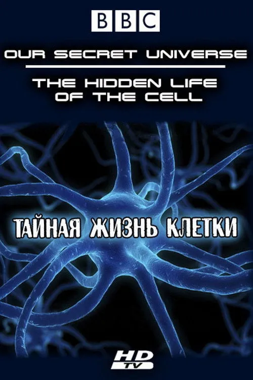 Внутренняя вселенная: Тайная жизнь клетки (2012) poster