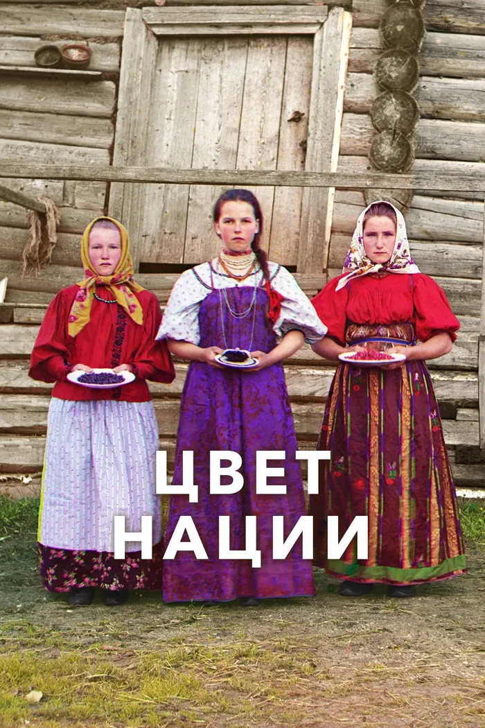 Цвет нации (2013) poster