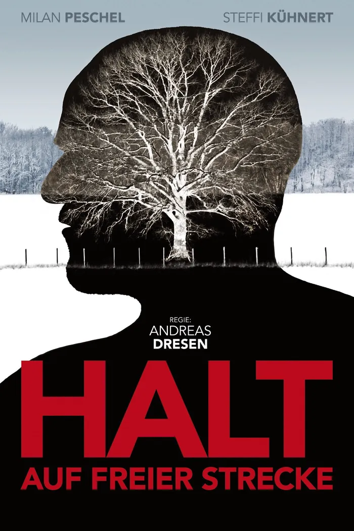 Остановка на перегоне (2011) poster