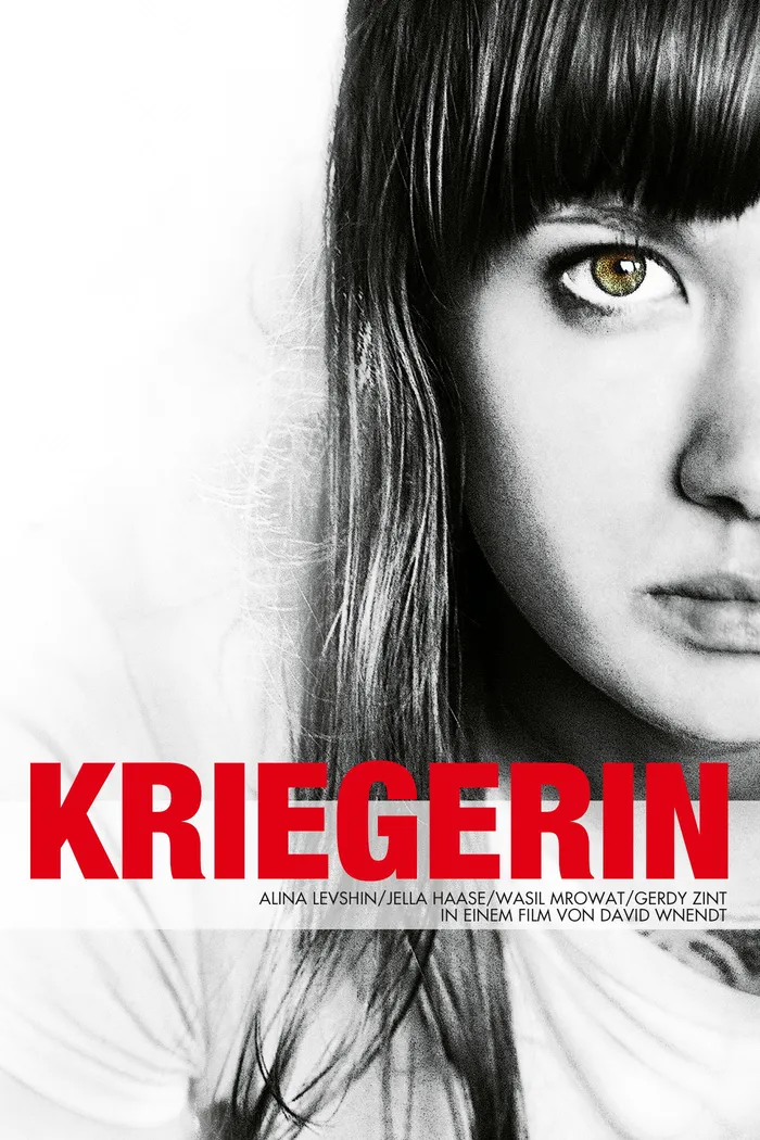 Экстремистки (2011) poster
