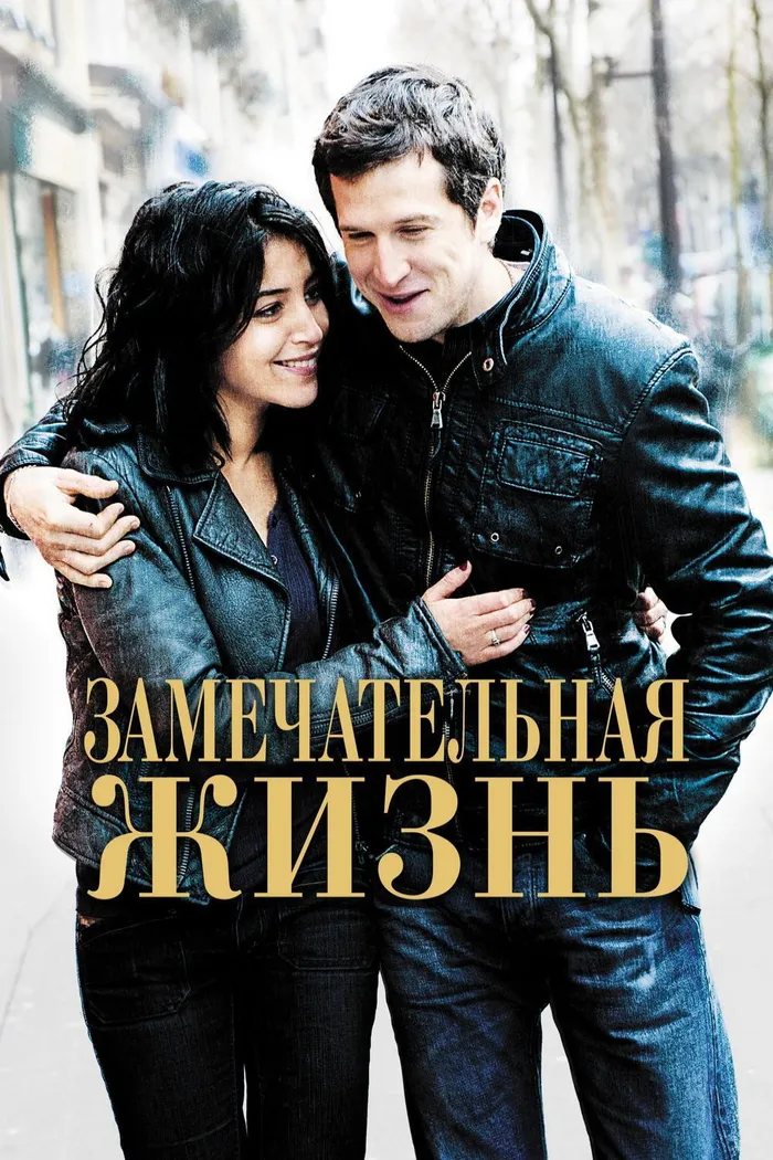 Замечательная жизнь (2011) poster