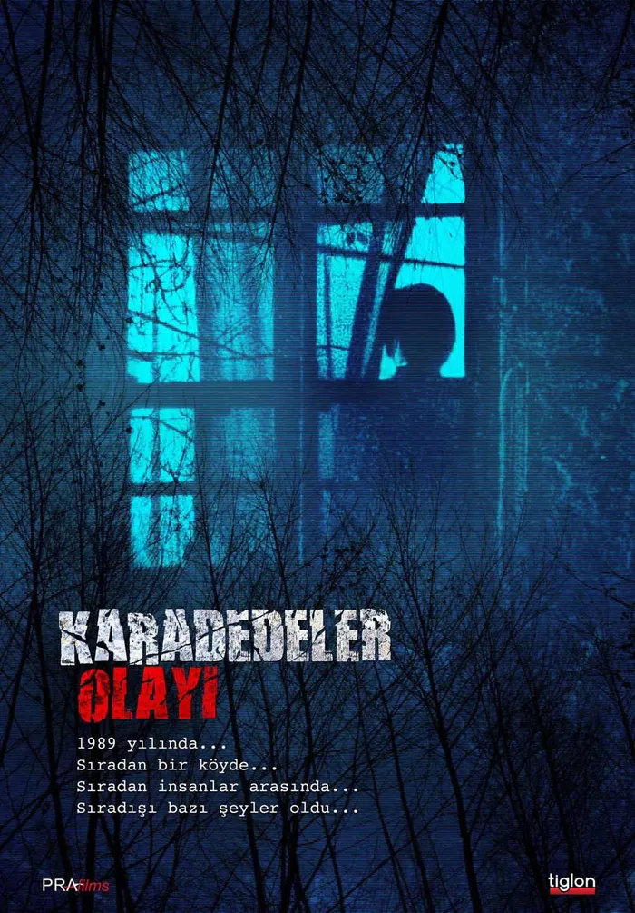 Karadedeler Olayı (2011)