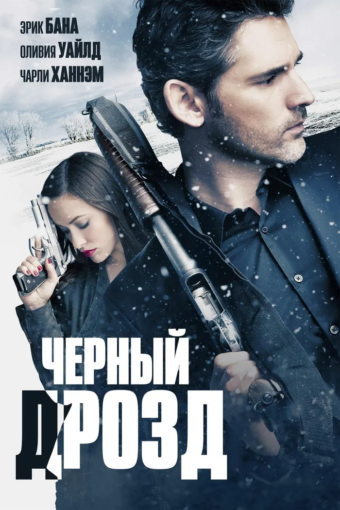 Чёрный дрозд (2012) poster